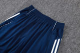 2025/26 Al Nassr Baby Blue Training Jersey(A Set)