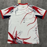 2025/26 PSG Special Edition Fans Soccer Jersey