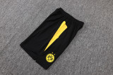 2026 BVB Yellow Vest Training Jersey (A Set)
