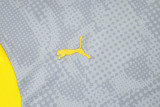 2026 BVB Grey Yellow Training Jersey(A Set)