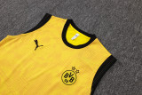 2026 BVB Yellow Vest Training Jersey (A Set)