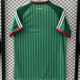2026/27 Algeria Away Green Fans Soccer Jersey  无星