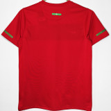 2010 Portugal Home Red Retro Soccer Jersey