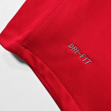 2010 Portugal Home Red Retro Soccer Jersey