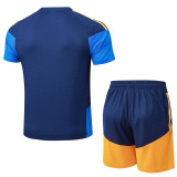 2026 AD Royal Blue Training Jersey (A Set)