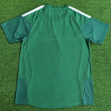 2026 Algeria Special Edition Player Version Jersey