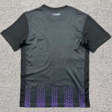 2025/26 Toulouse Third Fans Soccer Jersey