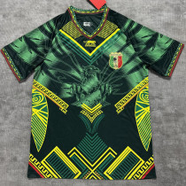 2026/27 Mali Home Green Fans Soccer Jersey
