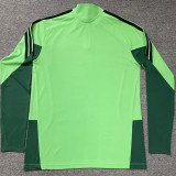 2026/27 Mexico Green Training Sweater