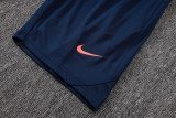 2026/27 BA Baby Blue Vest Training Jersey(A Set)