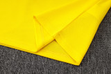 2026/27 Brazil Yellow Vest Training Jersey(A Set)