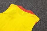 2026/27 Brazil Yellow Vest Training Jersey(A Set)