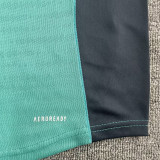 2026 LFC Green Training Sweater