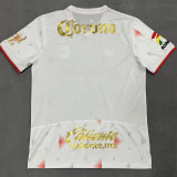 2025/26 Deportivo Toluca Away Fans Soccer Jersey ( With Star )托卢卡