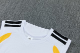 2026/27 Germany White Vest Training Jersey (A Set)