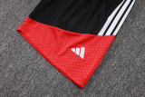 2026/27 Germany Red Vest Training Jersey (A Set)