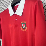 2026/27 Wales 150TH Anniversary Edition Fans Soccer Jersey