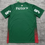 2026/27 Palmeiras 1:1 Quality Home Green Fans Soccer Jersey  (All Sponsor 全广告)