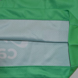 2025/26 Pumas UNAM Third Green Fans Soccer Jersey