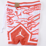 C2520 Jordan Casual Short Pants 虎纹橙