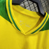 2026/27 Brazil Special Edition Fans Soccer Jersey
