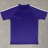 2026/27 Scotland Purple Training Jersey