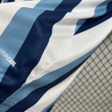2026/27 Argentina Special Edition Fans Soccer Jersey