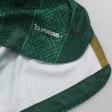 2026/27 South Africa Away Green Plyaer Version Soccer Jersey