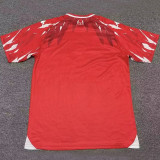 2026/27 Tunisia Home Red Fans Soccer Jersey