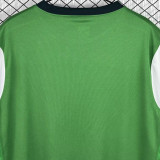 2009/2010 Werder Bremen Home Green White Retro Jersey
