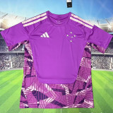 2026/27 Cruzeiro GK Fans Soccer Jersey