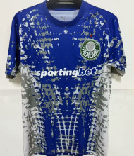 2026/27 Palmeiras GK Fans Soccer Jersey