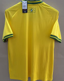 2026/27 Vasco Yellow Fans Soccer Jersey