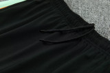 2026/27 France Light Green  Sweater Tracksuit
