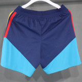 2026/27 Spain Training Player Version Shorts Pants A+球员版