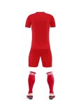 Adult Matchday Team Kits AD720