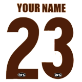 Hawthorn Hawks 2023 Mens Home Guernsey