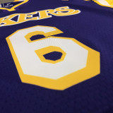 Men's LeBron James 2020-21 Purple Player Jersey - Retro Classical Edition