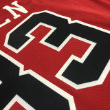 Men's Scottie Pippen Red Team Jersey - 75th Anniversary Edition