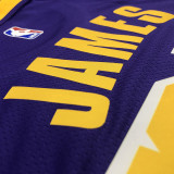 Men's LeBron James 2020-21 Purple Swingman Player Jersey - Statement Edition