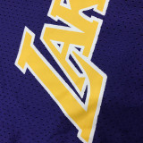 Earvin Johnson Men's Purple Player Jersey - Throwback Edition
