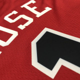 Men's Derrick Rose Red Team Jersey - 75th Anniversary Edition