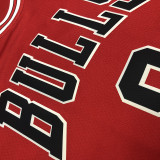 Zach Lavine Men's Red Player Jersey - Classic Edition