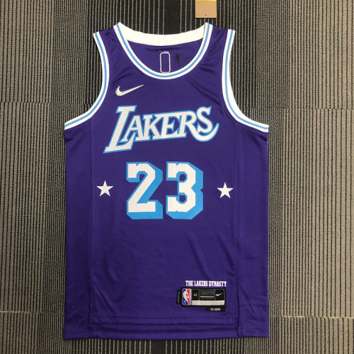 Men's LeBron James Purple Team Jersey - 75th Anniversary City Edition