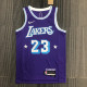 Men's LeBron James Purple Team Jersey - 75th Anniversary City Edition