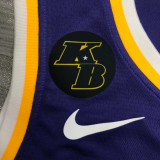 Anthony Davis Men's Purple Player Jersey - Retro Classic Edition