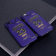 Kobe Bryant / LeBron James Retro Jersey Phone Case