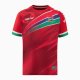 Player Version Gambia 2024 Home Jersey Authentic Jersey