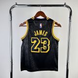 Youth LeBron James Black Team Jersey