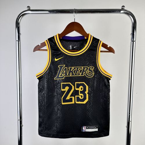 Youth LeBron James Black Team Jersey